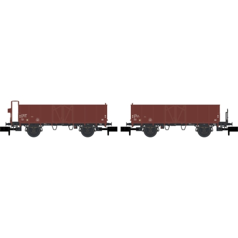 Hobbytrain H24352 N 2-delige set open goederenwagons M6 van de SBB