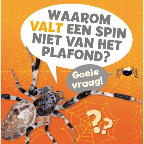 Waarom valt een spin niet van het plafond? (Hardback)