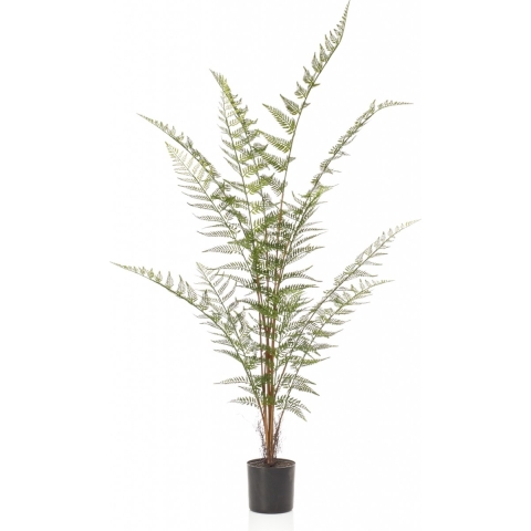 Forest fern x13 120 cm - Emerald