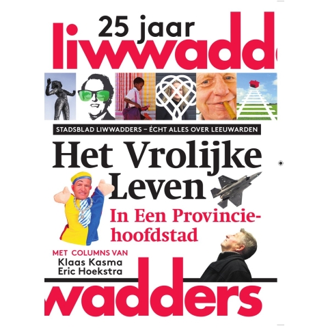 Het vrolijke leven in een provinciehoofdstad (Paperback)