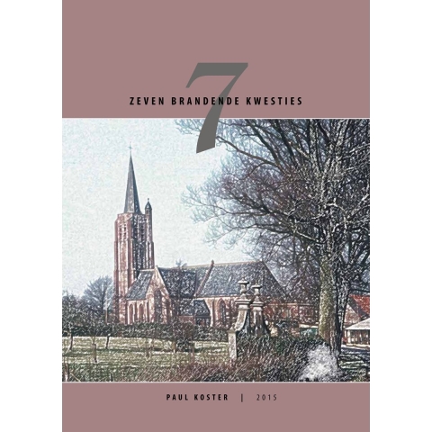 Zeven brandende kwesties (Paperback)