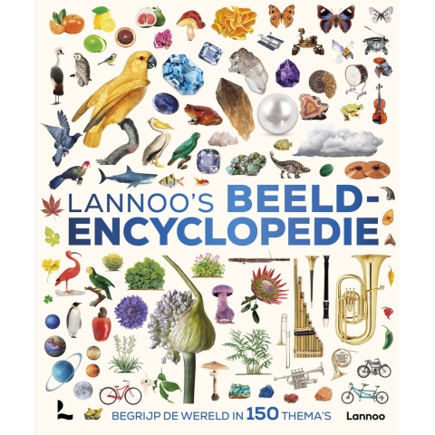 Lannoo&apos;s beeldencyclopedie (Hardback)