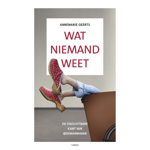 Wat niemand weet (Paperback)
