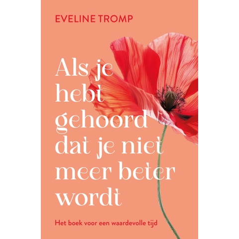Als je hebt gehoord dat je niet meer beter wordt (Paperback)