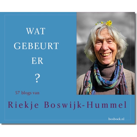 Wat gebeurt er? (Paperback)
