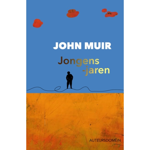 Jongensjaren (Paperback)