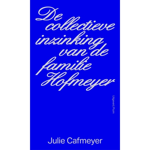 De collectieve inzinking van de familie Hofmeyer (Paperback)