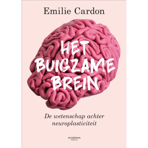 Het buigzame brein (Paperback)