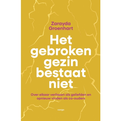 Het gebroken gezin bestaat niet (Paperback)