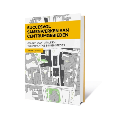 Succesvol samenwerken aan centrumgebieden (Hardback)