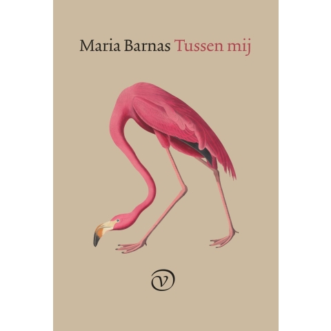 Tussen mij (Paperback)