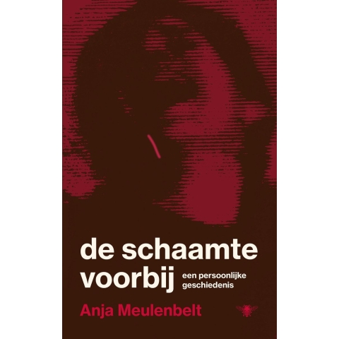 De schaamte voorbij (Paperback)