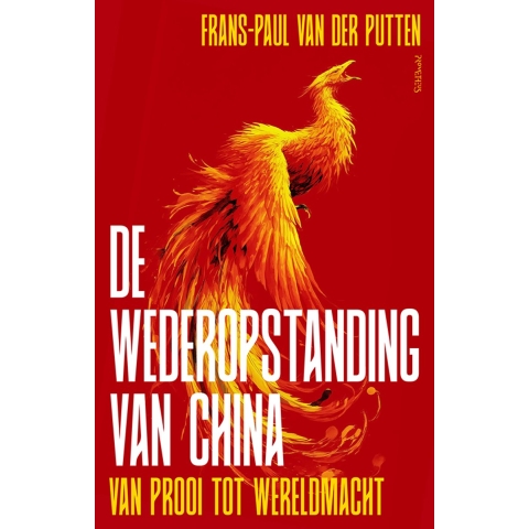 De wederopstanding van China (Paperback)