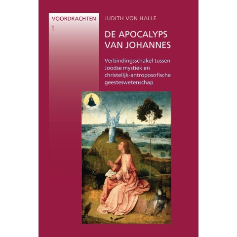De Apocalyps van Johannes (Paperback)