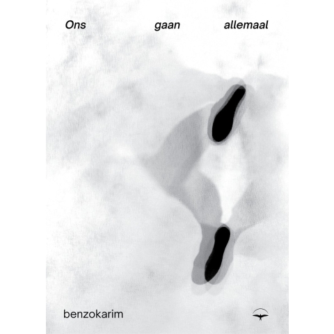 Ons gaan allemaal (Paperback)