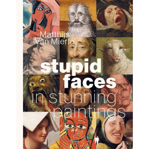 Stupid Faces in Stunning Paintings (Hardback)
