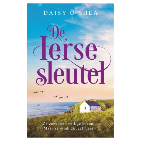De Ierse sleutel (Paperback)