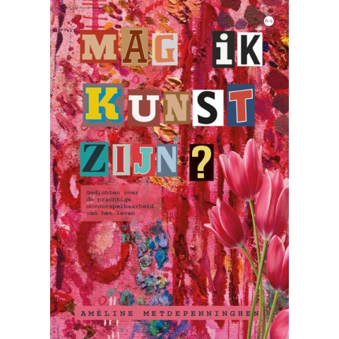 Mag ik kunst zijn? (Paperback)
