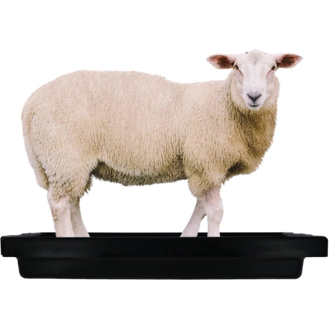 Voetbad Schaap Mini 120x40x18 cm