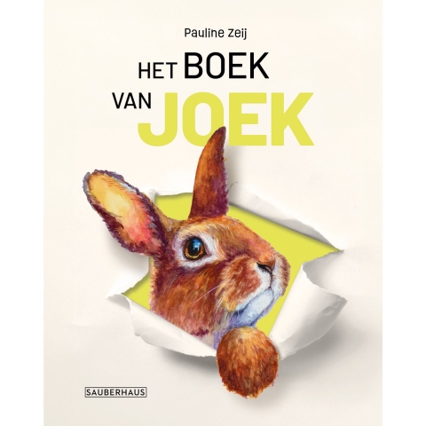 Het boek van Joek (Hardback)