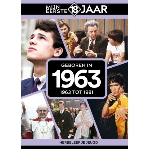 Geboren in 1963 (Hardback)