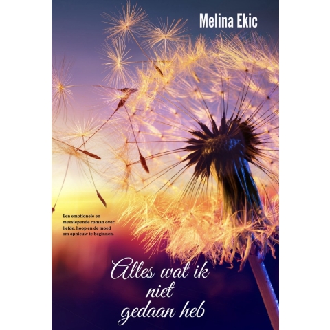 Alles wat ik niet gedaan heb (Paperback)