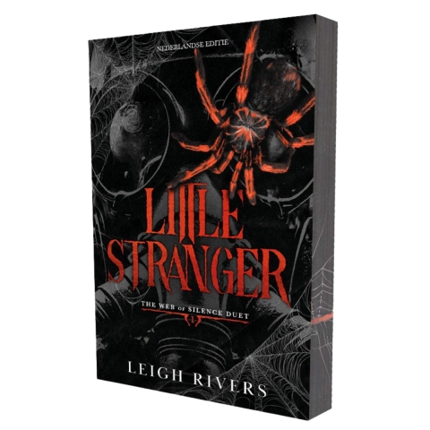 Little stranger (Paperback)