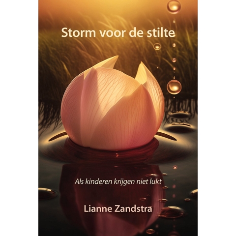 Storm voor de stilte (Paperback)