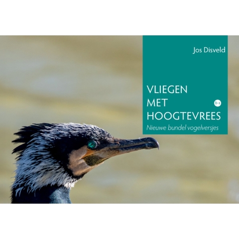 Vliegen met hoogtevrees (Paperback)