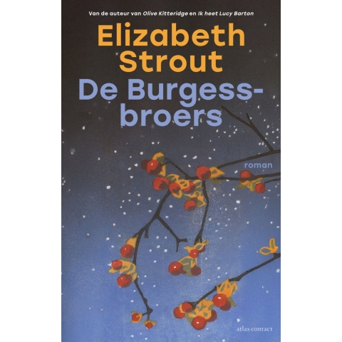 De Burgess-broers (Paperback)