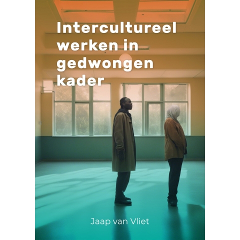 Intercultureel werken in gedwongen kader (Paperback)