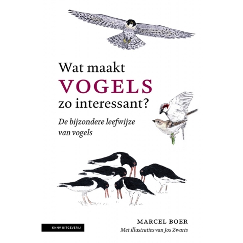 Wat maakt vogels zo interessant (Paperback)