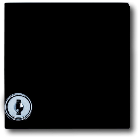 Busch-Jaeger 2CKA001710A1977 Afdekking Allweather 44 (IP44) Zwart-grijs, Antraciet 1 stuk(s)