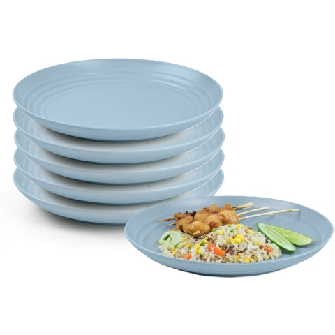 Plasticforte Rond bord/camping bord - 12x - D20 cm - ijsblauw - kunststof - onbreekbaar - servies -