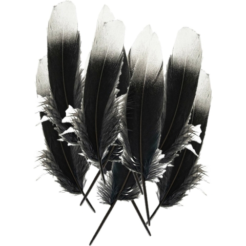 Ganzenveer/sierveer - 50x stuks - zwart met zilver - 18-22 cm - decoratie/hobbymateriaal -