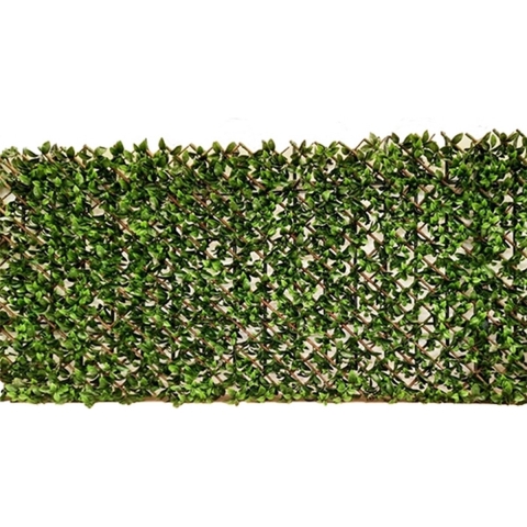 Willow Fence uitvouwbaar 100x200 cm - Buitengewoon de boet