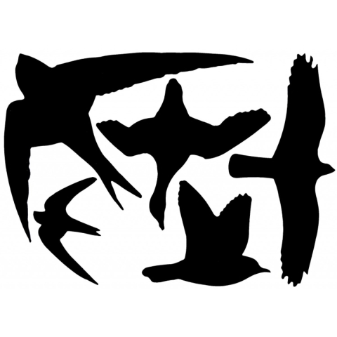 10x Vogel raamstickers 33 x 23 cm 5 stuks -