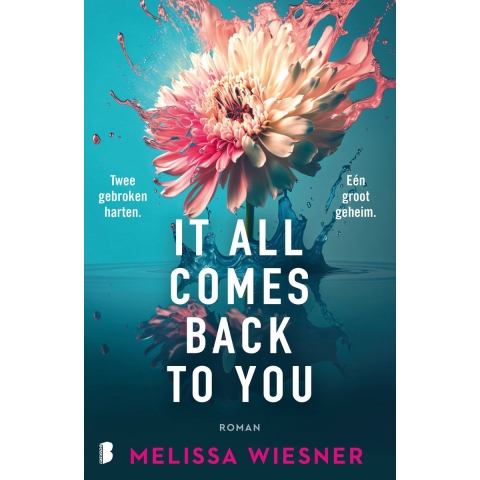 It All Comes Back To You (Paperback)