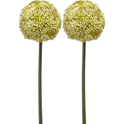 Allium/Sierui kunstbloem - 2x - losse steel - wit/groen - 75 cm - Natuurlijke uitstraling -