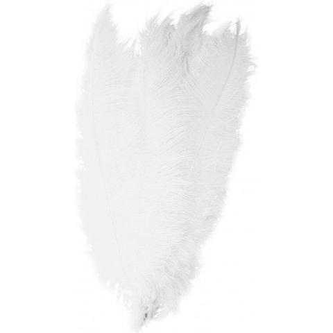 Carnaval verkleed veer/struisvogelveren - 3x - wit - 50 cm - Carnaval - Sierveren/charleston veren -