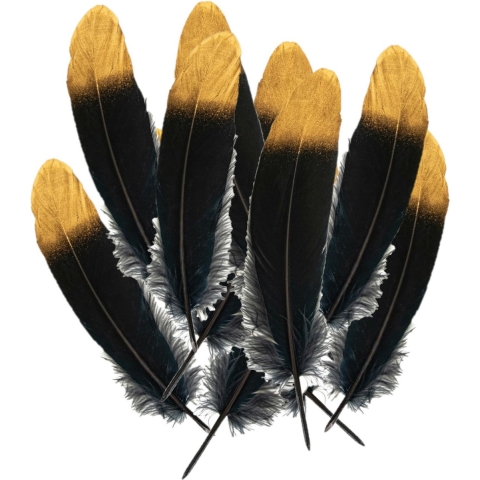 Ganzenveer/sierveer - 50x stuks - zwart met goud - 18-22 cm - decoratie/hobbymateriaal -