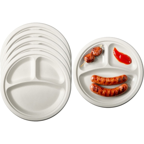 BBQ/verjaardag wegwerp vakjesbordjes - 36x stuks - dia 23 cm - suikerriet - biologisch afbreekbaar -