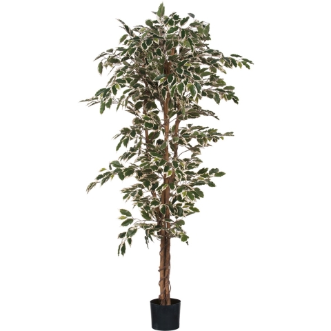 Mica Decorations Ficus Kunstplant - H180 xØ90 cm - Groen Bont