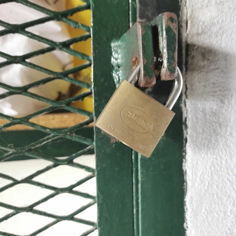 Amig staalkabel met hangslot 60 mm - kabel geplastificeerd 1.5 m x 8 mm - hangslot met 2 sleutels -