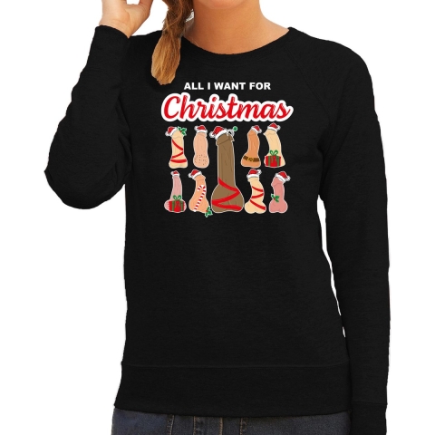 Foute kersttrui/sweater voor dames - All I want for Christmas - piemels - zwart 2XL -