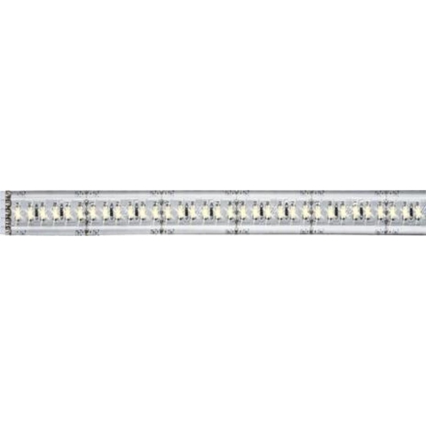 Paulmann MaxLED 1000 70675 LED-strip uitbreidingsset Met connector (male) 24 V 1 m Daglichtwit 1 stuk(s)