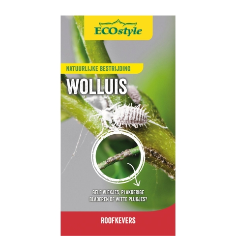 Roofkever tegen wolluis larven 25 st - Ecostyle natuurlijke vijanden