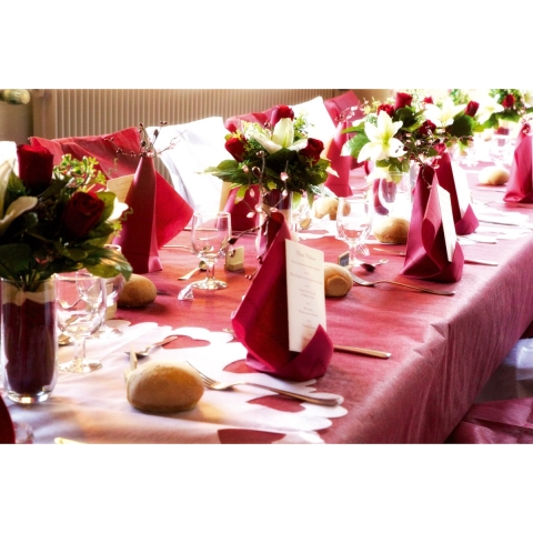 Feest tafelkleed op rol - 2x - rood - 120 cm x 10 m - non woven polyester -