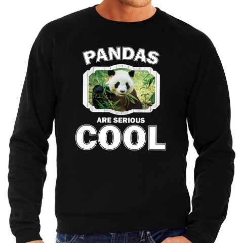 Dieren panda sweater zwart heren - pandas are cool trui 2XL -