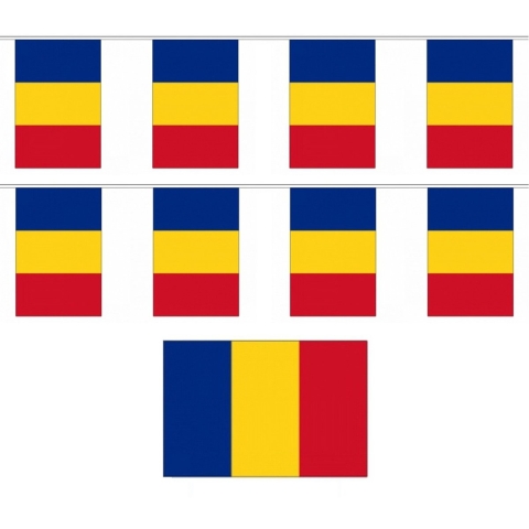 Roemenie vlaggenlijn - 2x - polyester stof - 900 cm - landen supporters feestartikelen - versiering -